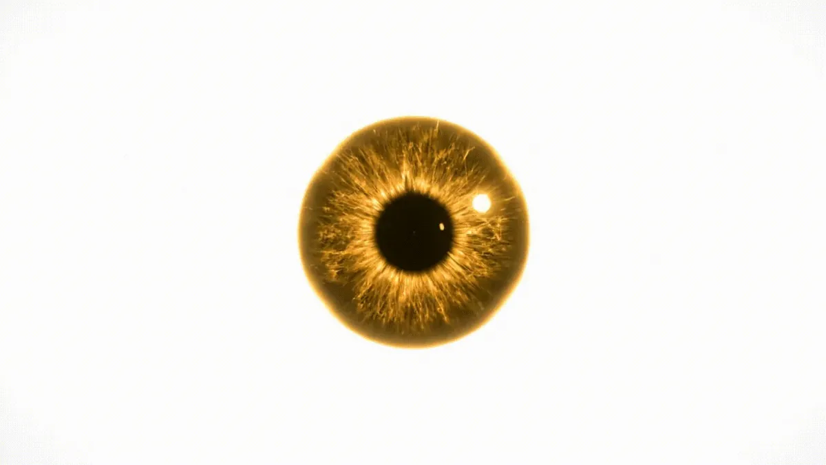 Drigya Tech Edge AI Machine Vision Camera lens detecting defects in real time